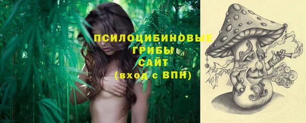 ГАЛЛЮЦИНОГЕННЫЕ ГРИБЫ Волоколамск