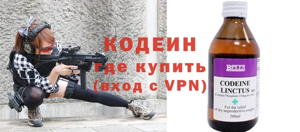 гидра Вяземский