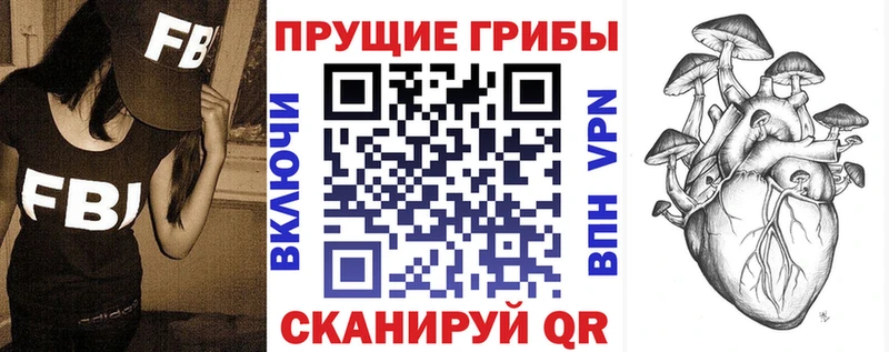Псилоцибиновые грибы Psilocybine cubensis  Купить где  Бирюч 