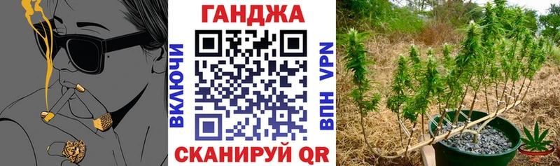 Конопля сатива  Купить закладки  Бирюч 